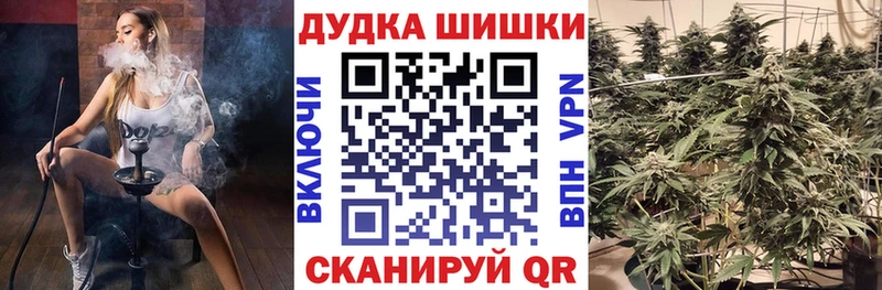 Цена Новодвинск Cocaine мега зеркало Alpha PVP Псилоцибиновые грибы Амфетамин ГАШ МАРИХУАНА Меф мяу мяу