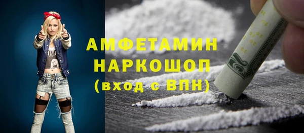 стаф Алзамай