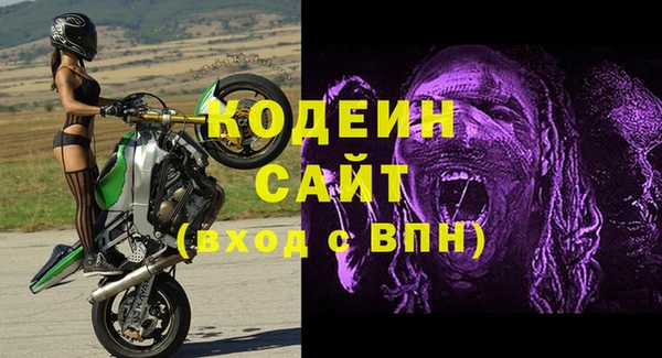 стаф Алзамай