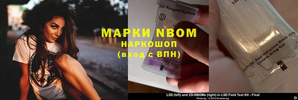 стаф Алзамай