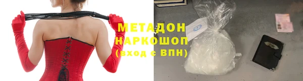 стаф Алзамай