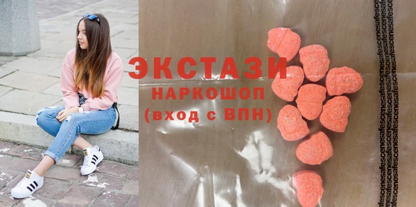 стаф Алзамай