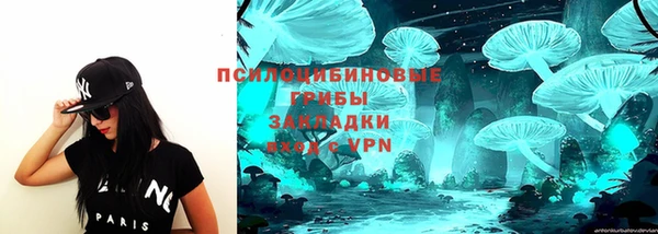ALPHA-PVP Алексеевка