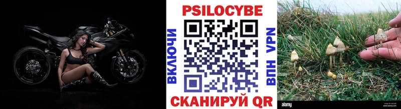 где продают   Новодвинск  blacksprut зеркало  Галлюциногенные грибы Psilocybine cubensis 